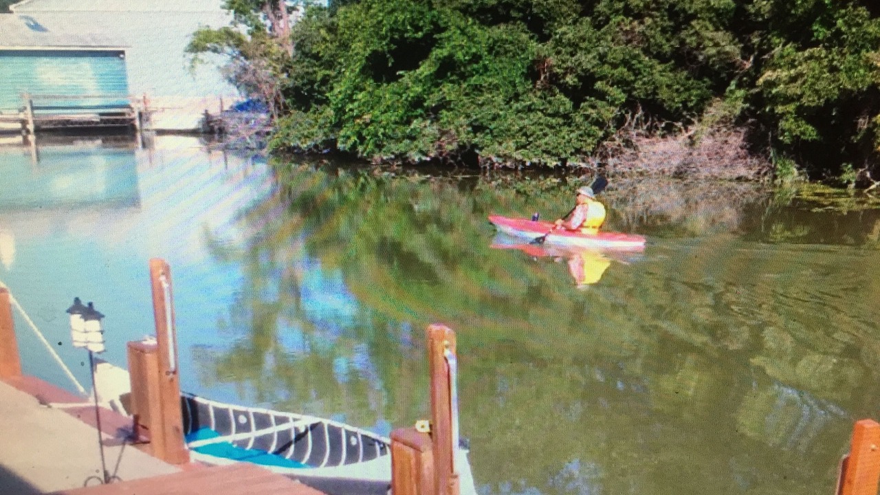 Photo of Others in Kingsville