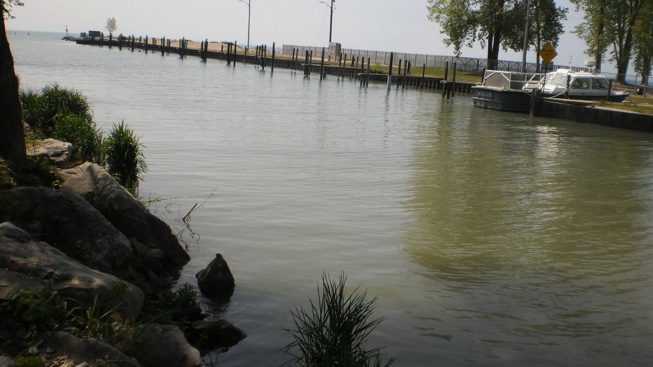 Photo of Others in Kingsville