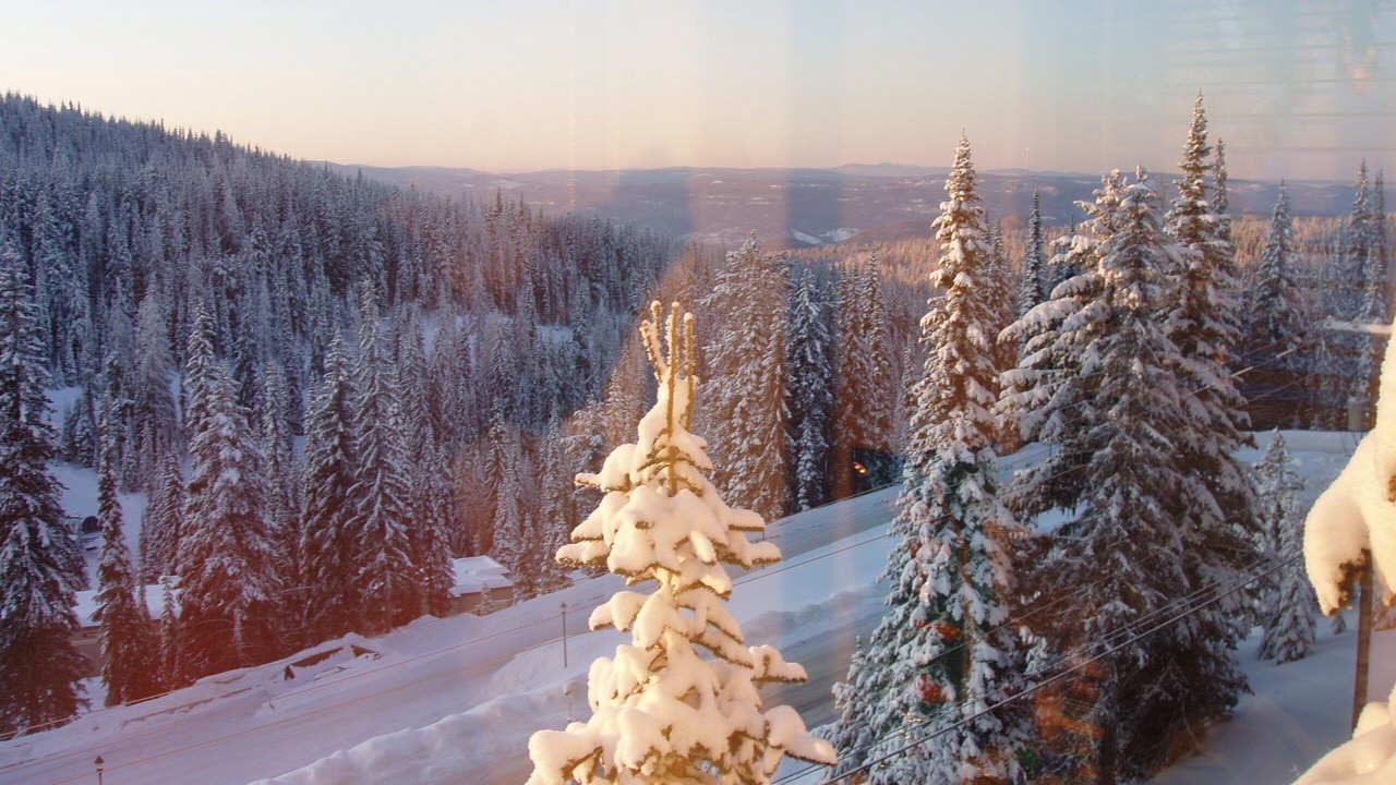Photo of Others in Silver Star Mountain