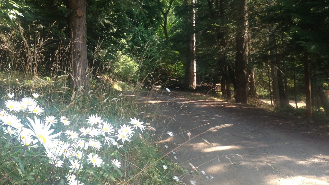 Photo of Others in Pender Island