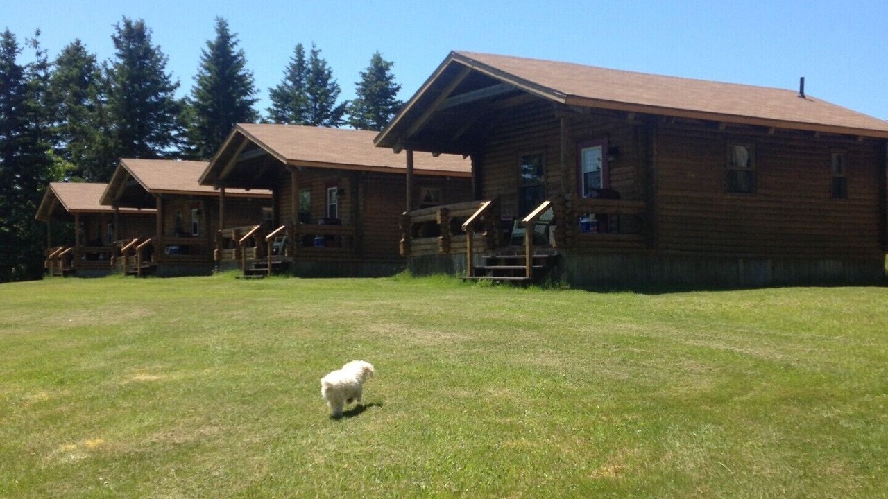 Photo of Others in Margaree Forks