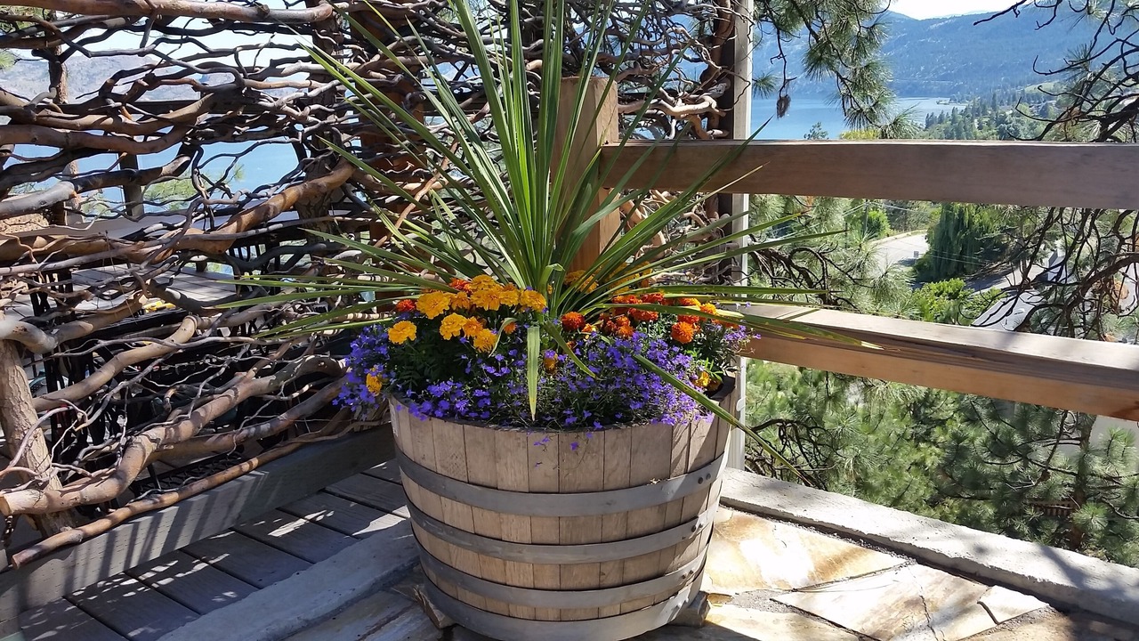 Photo of Others in Central Okanagan
