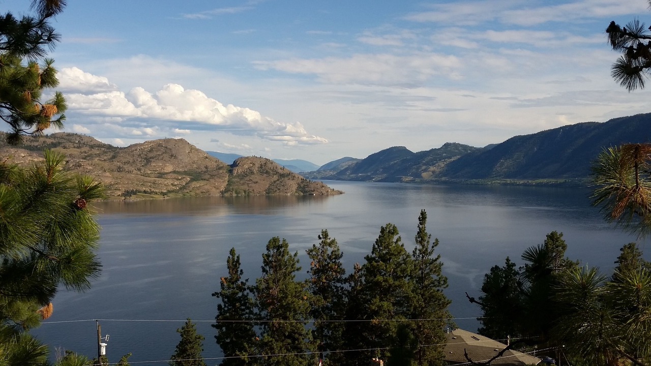 Photo of Others in Central Okanagan