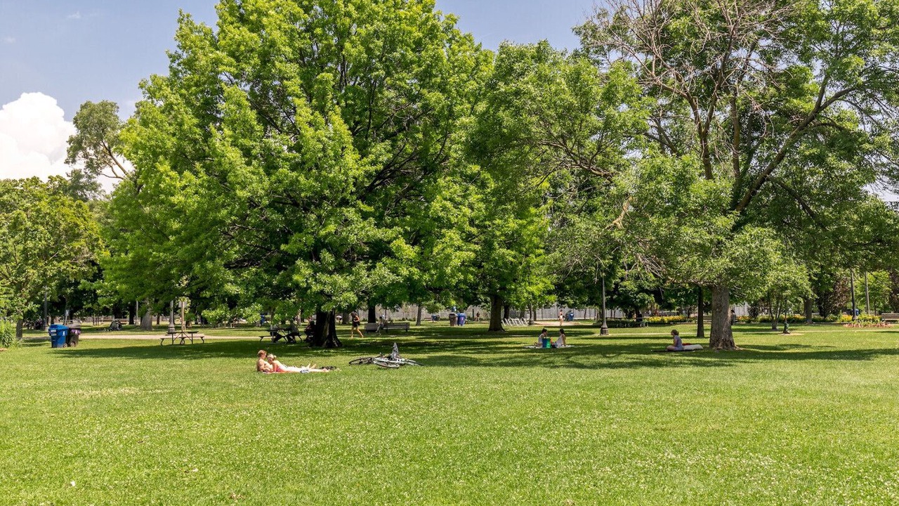 Photo of Others in Niagara