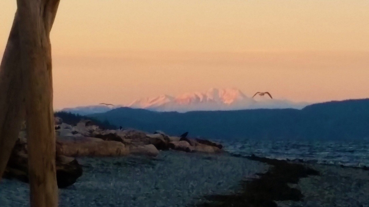 Photo of Others in Savary Island