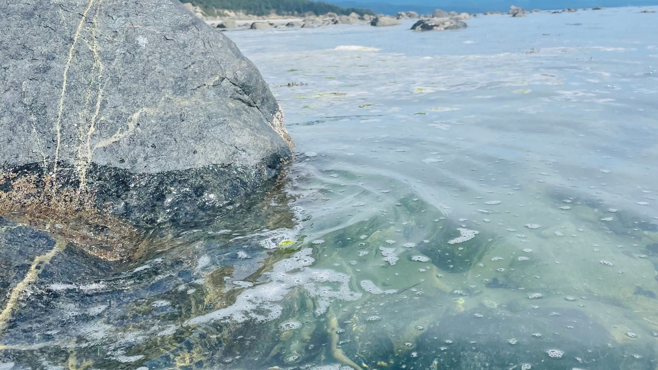 Photo of Others in Savary Island