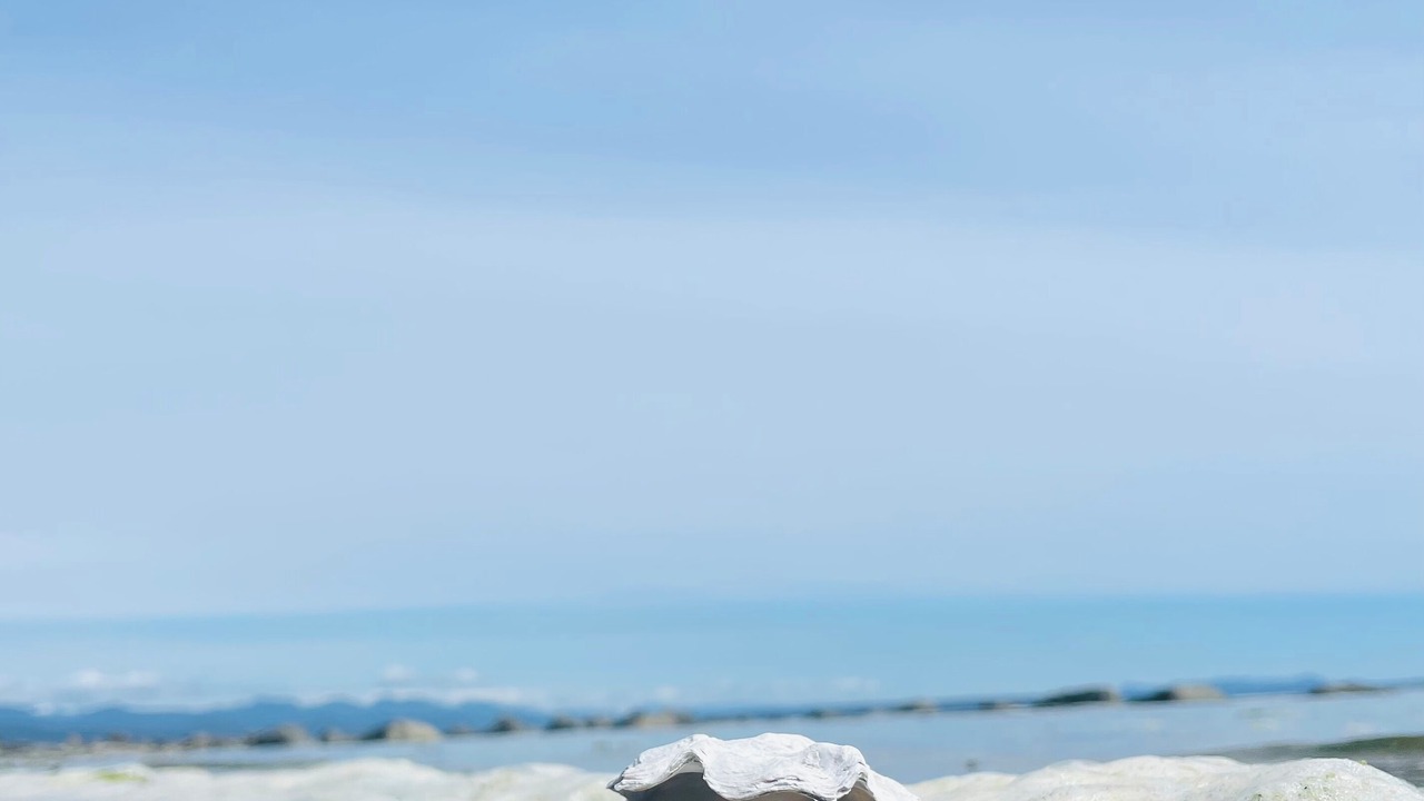 Photo of Others in Savary Island