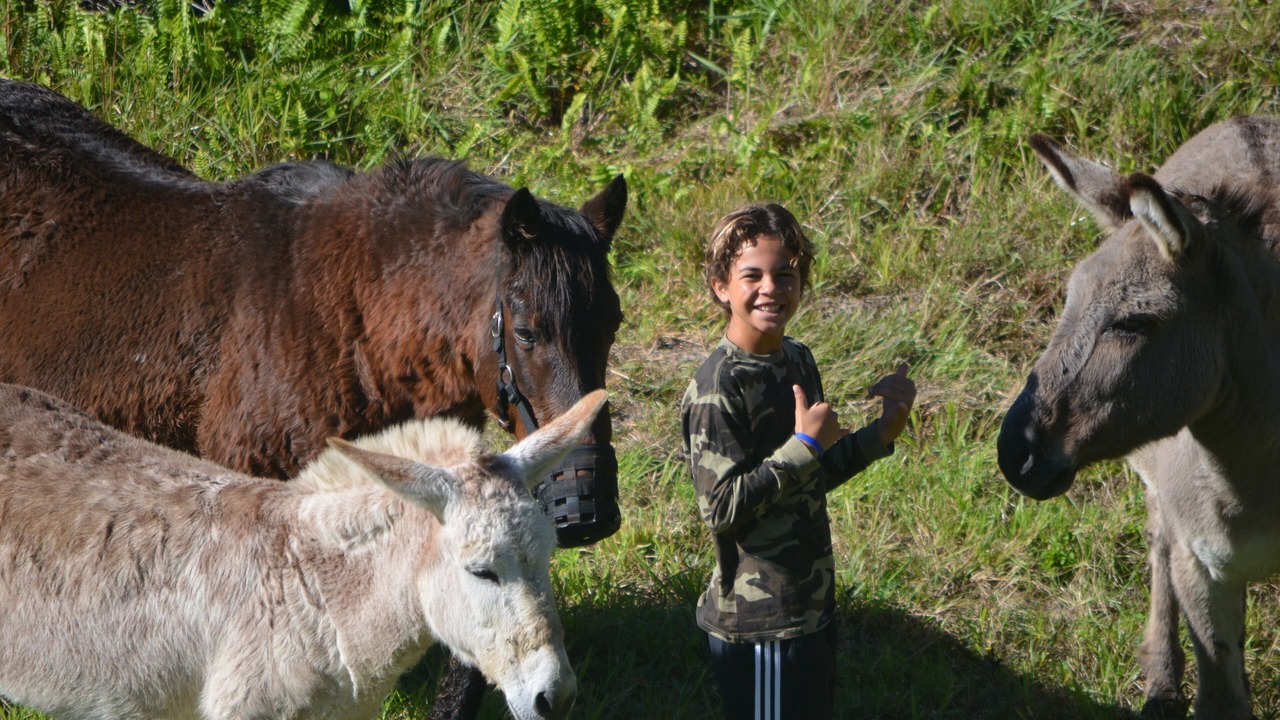 Photo of Others in Naalehu