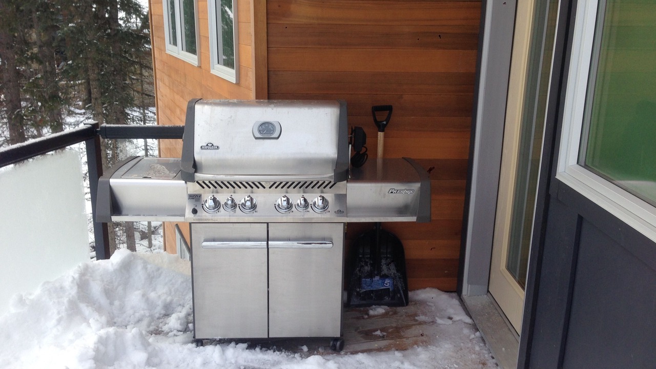 Photo of Outdoor in Golden