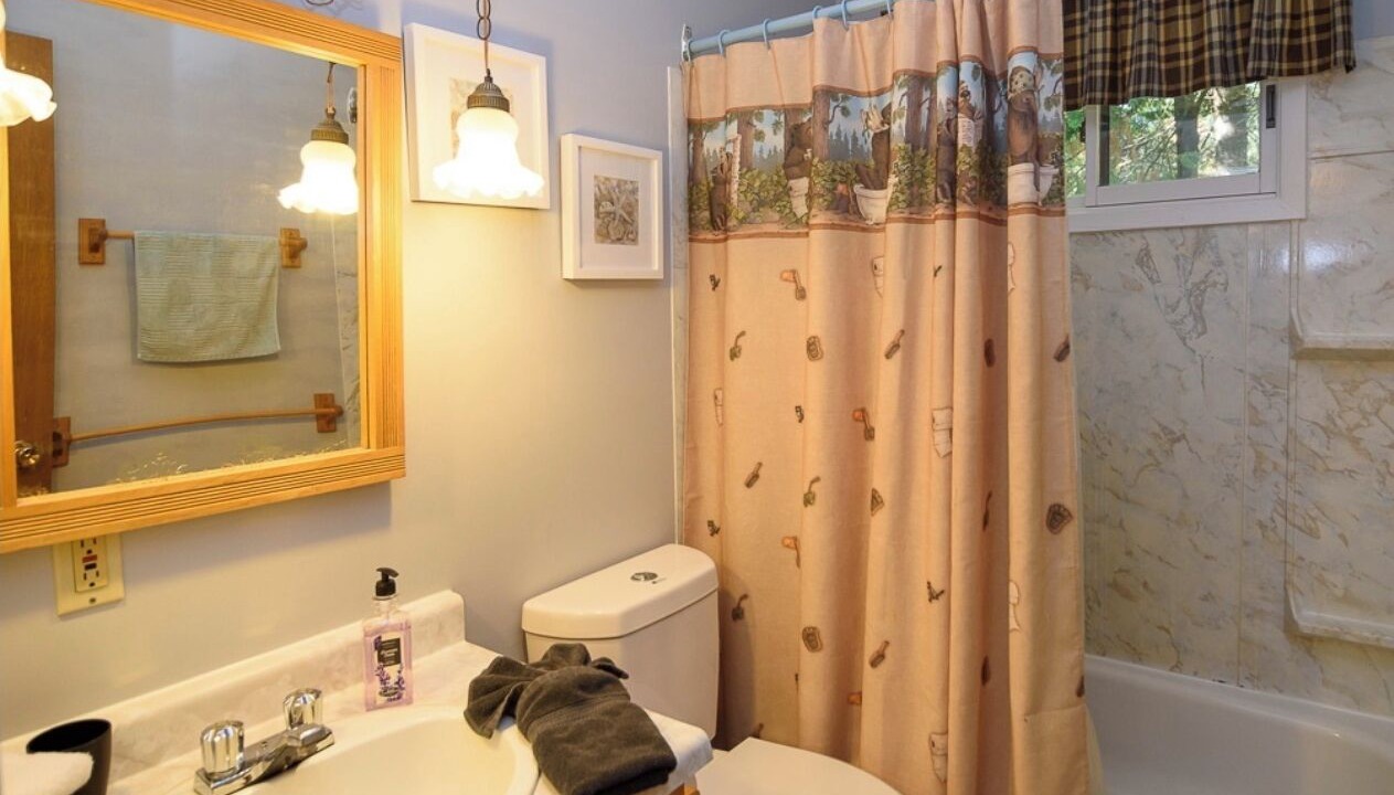 Photo of Bathroom in Lake of Bays