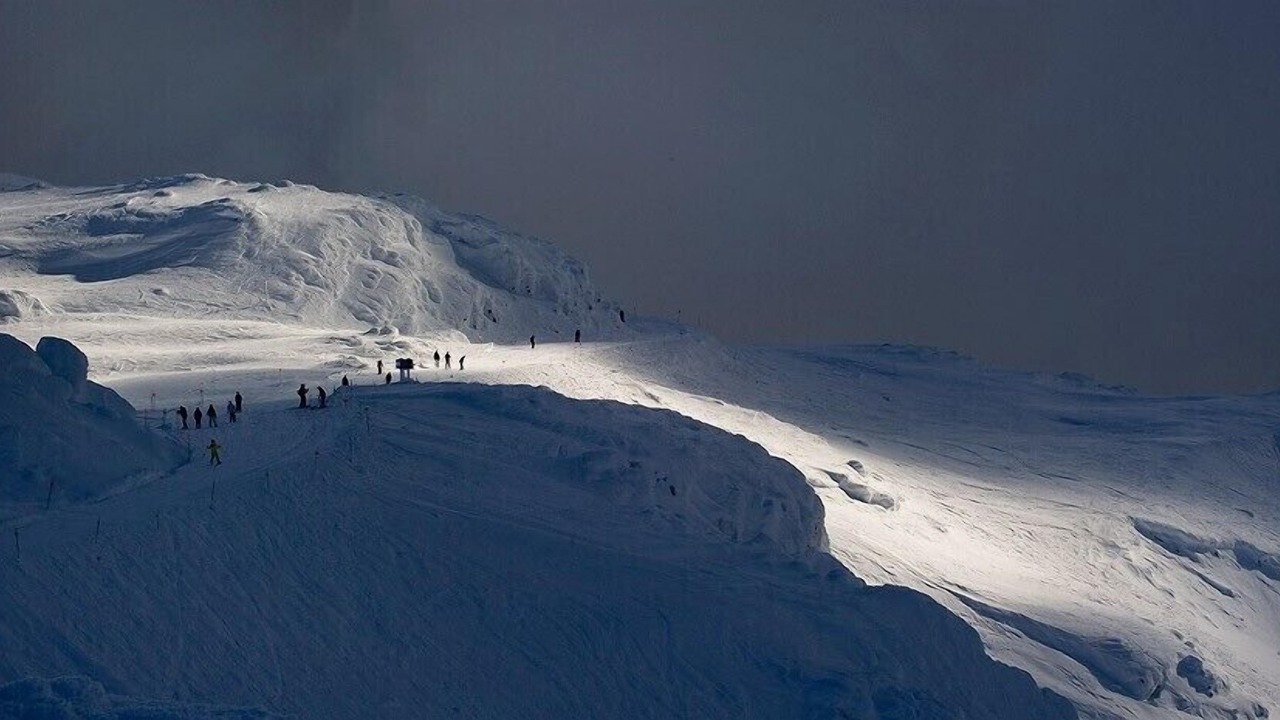 Photo of Others in Blueberry Hill