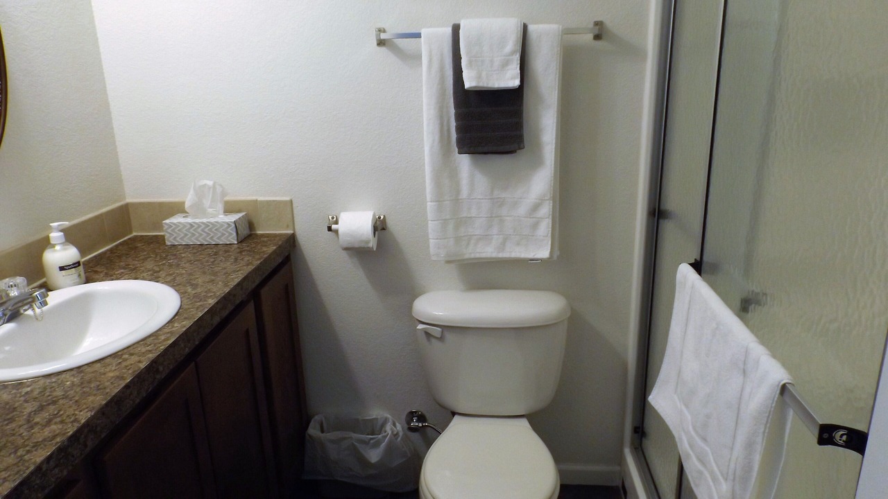 Photo of Bathroom in Gull Lake