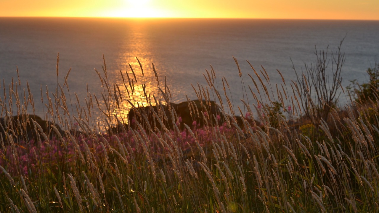 Photo of Others in Pouch Cove