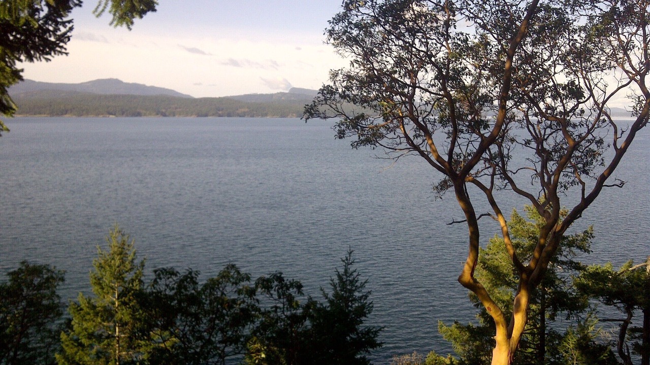 Photo of Others in Pender Island