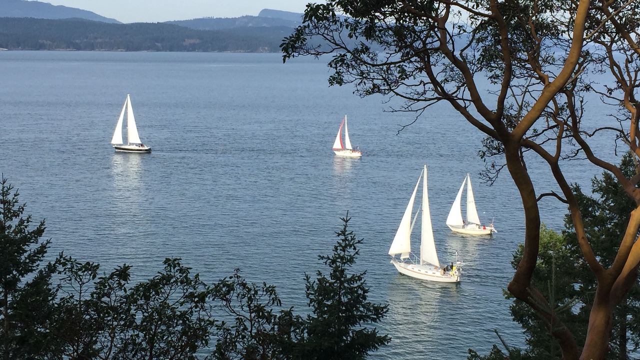 Photo of Others in Pender Island
