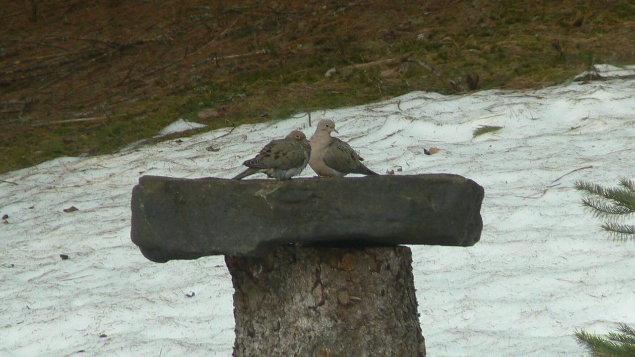 Photo of Others in Perry