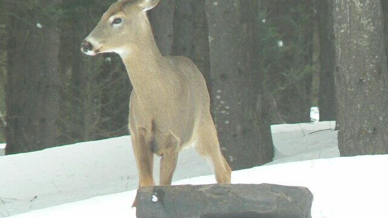 Photo of Others in Perry