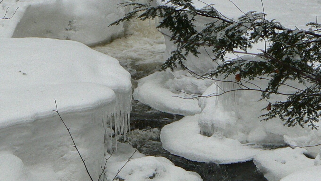 Photo of Others in Perry