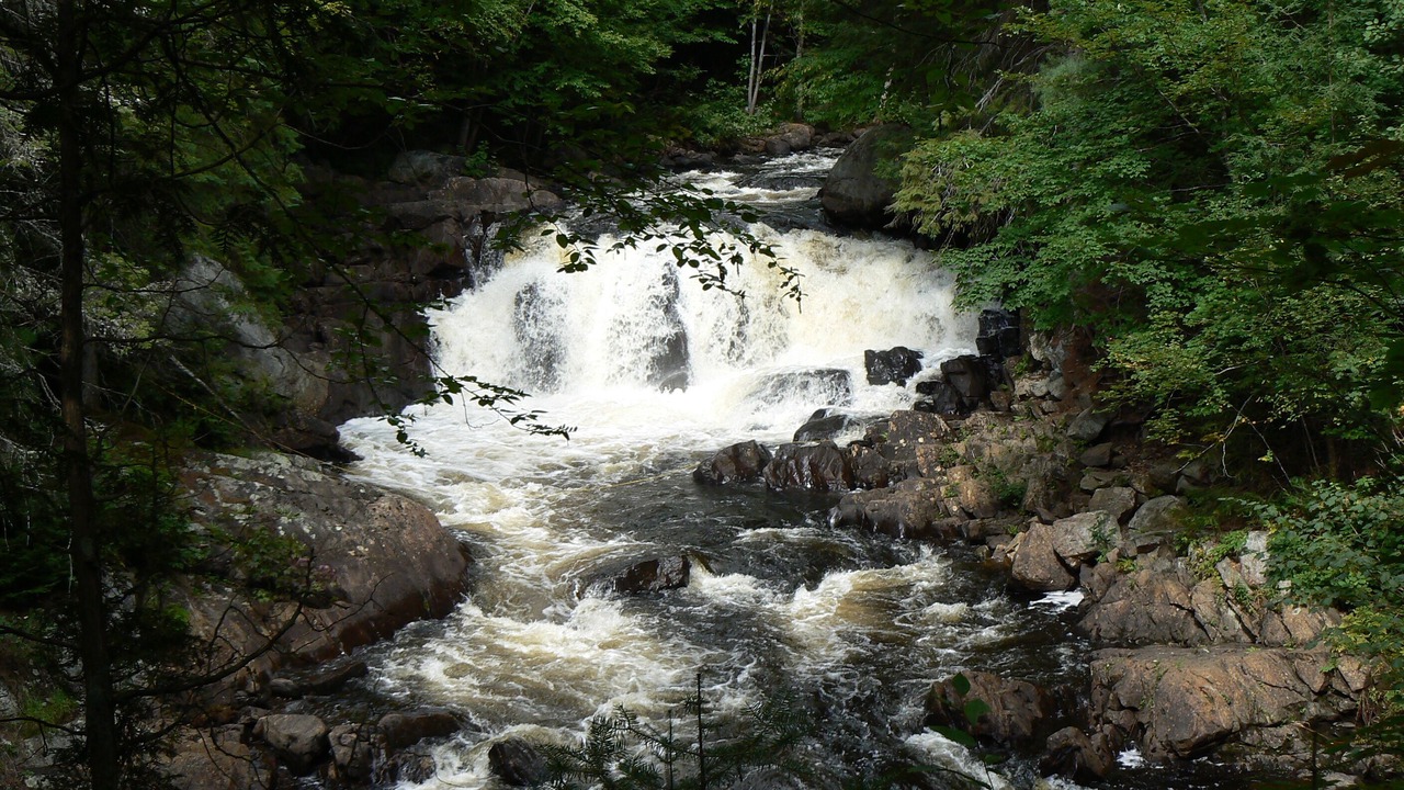 Photo of Others in Perry
