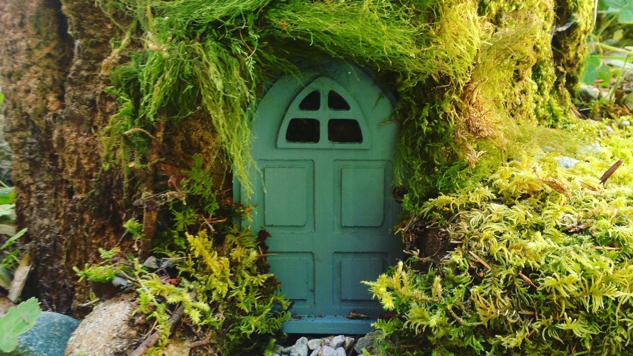 Photo of Outdoor in Saanich