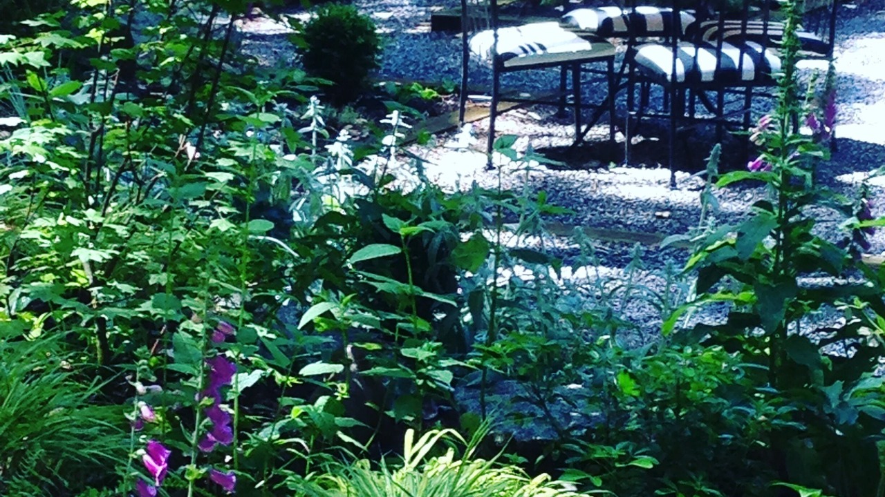 Photo of Outdoor in Saanich