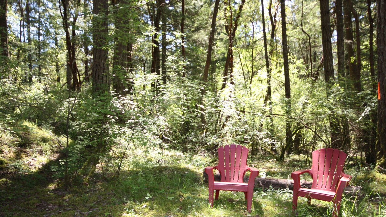Photo of Outdoor in Saanich
