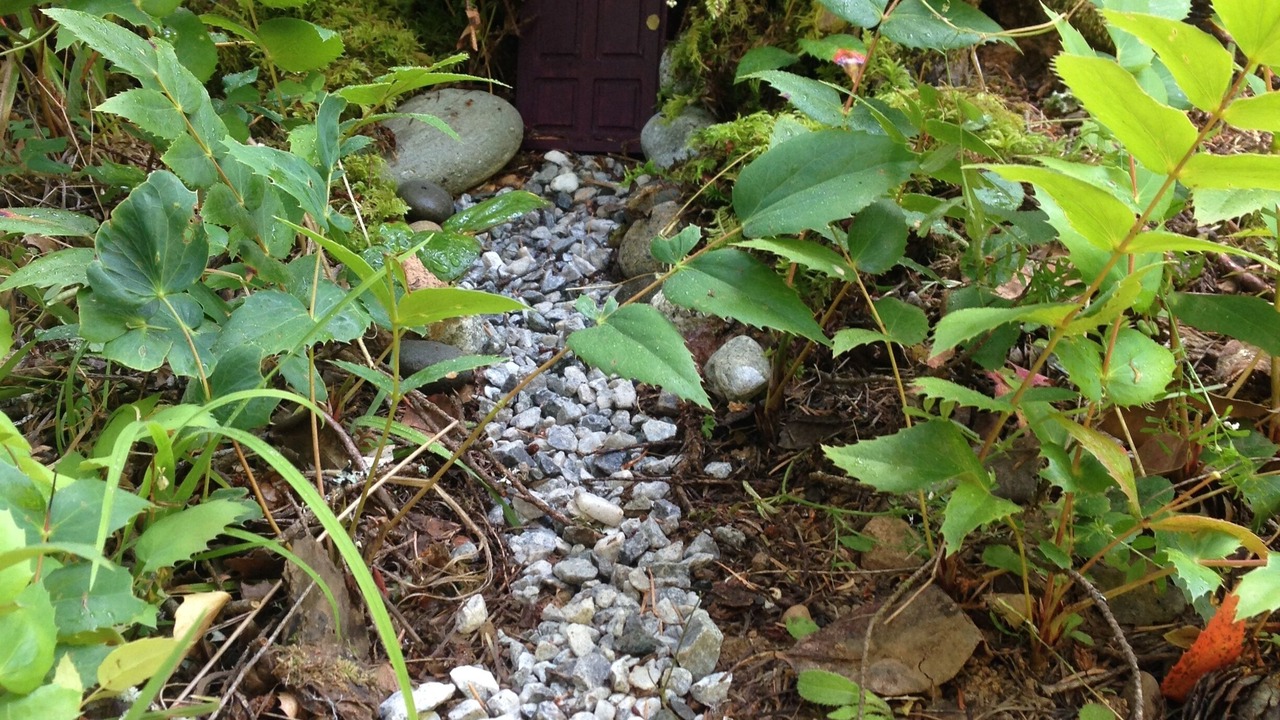 Photo of Outdoor in Saanich