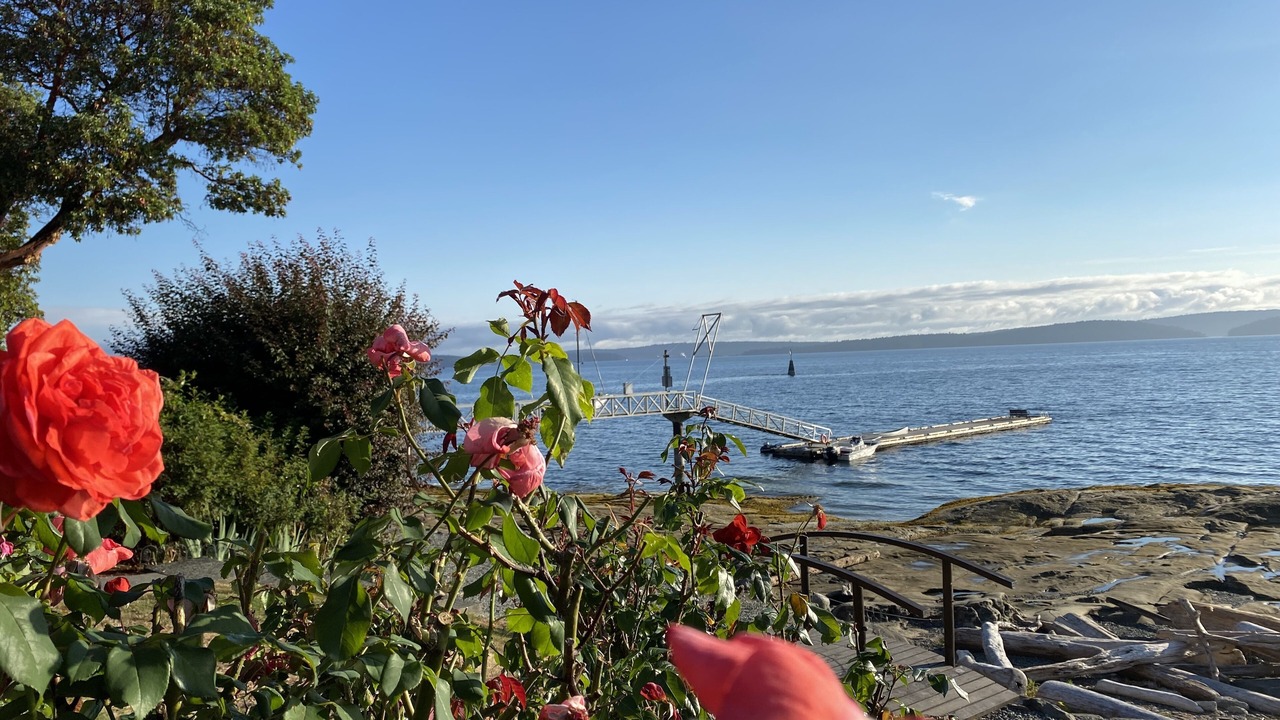 Photo of Outdoor in North Oyster