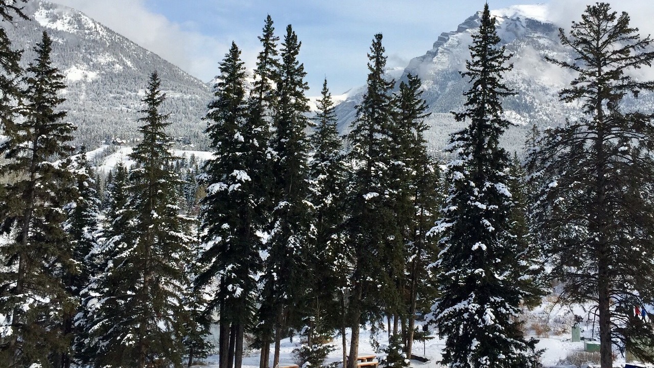 Photo of Others in Canmore