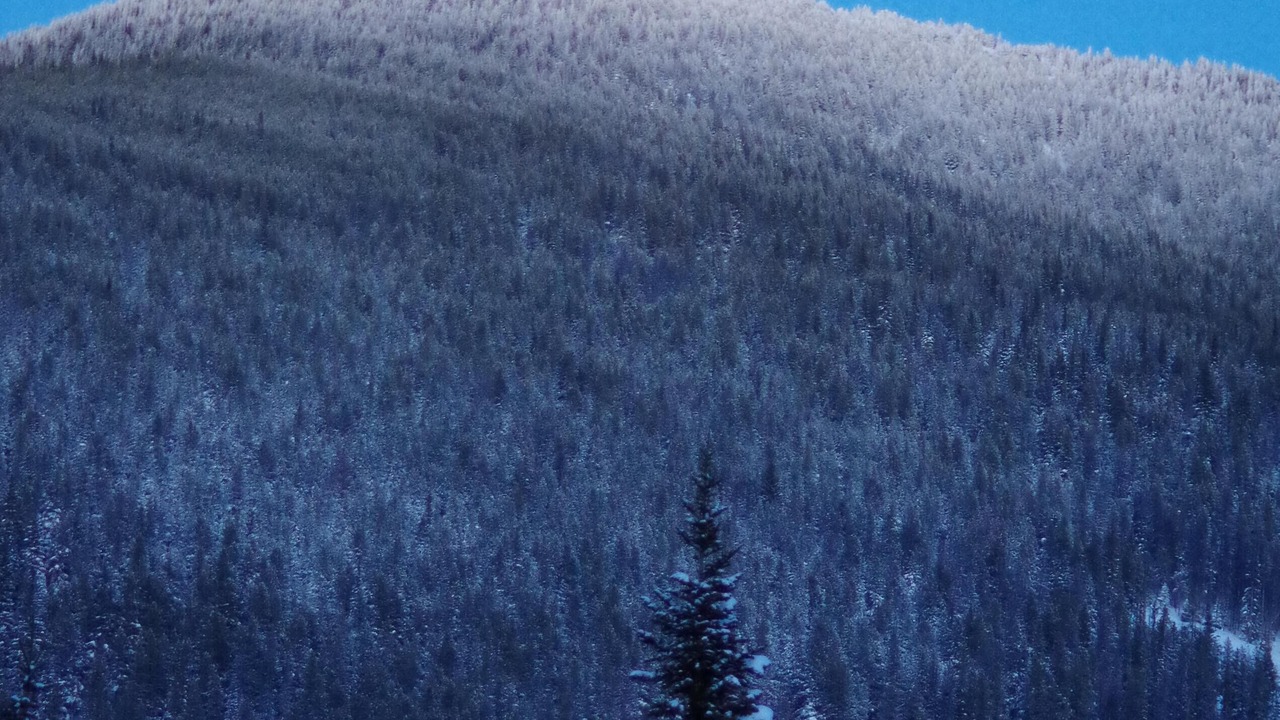 Photo of Others in Okanagan-Similkameen