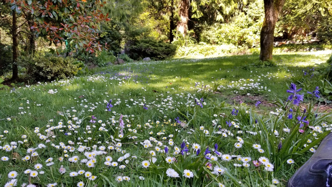 Photo of Outdoor in Metchosin