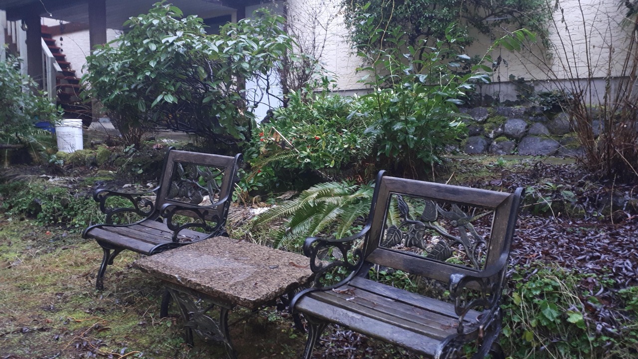 Photo of Outdoor in Metchosin
