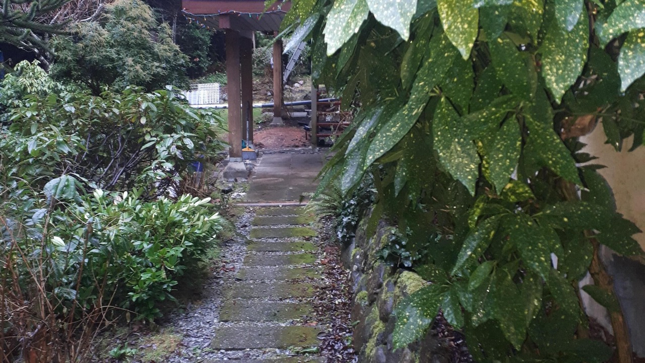 Photo of Outdoor in Metchosin