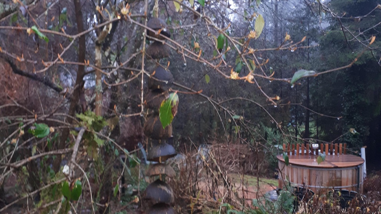 Photo of Outdoor in Metchosin