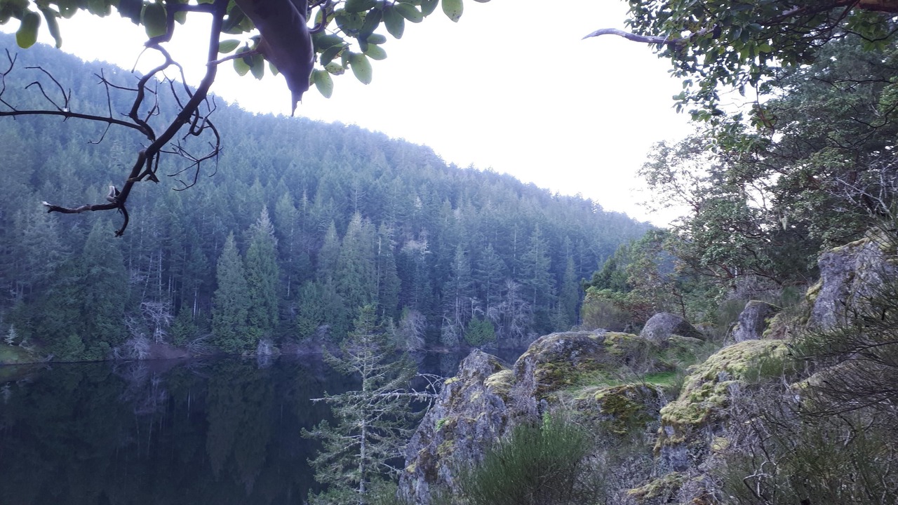 Photo of Outdoor in Metchosin