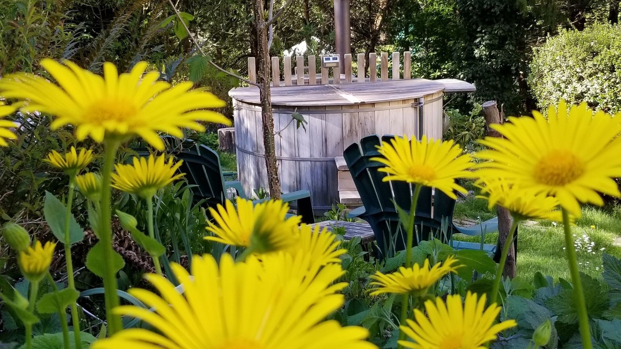 Photo of Outdoor in Metchosin