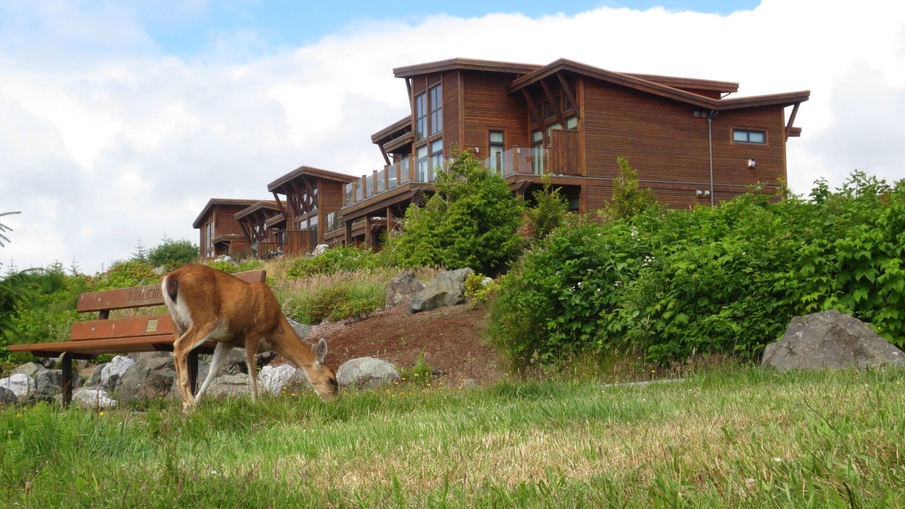 Photo of Others in Ucluelet