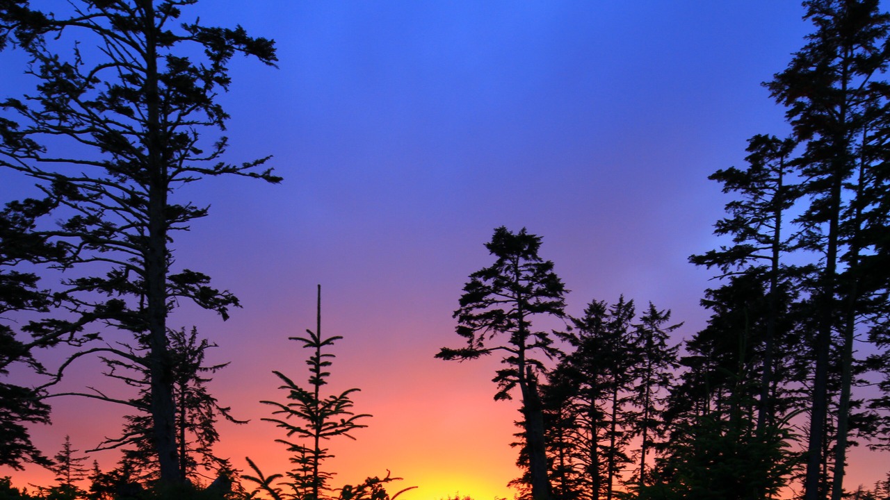 Photo of Others in Ucluelet