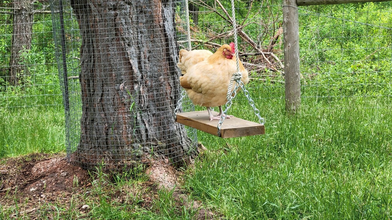 Photo of Outdoor in Utterson