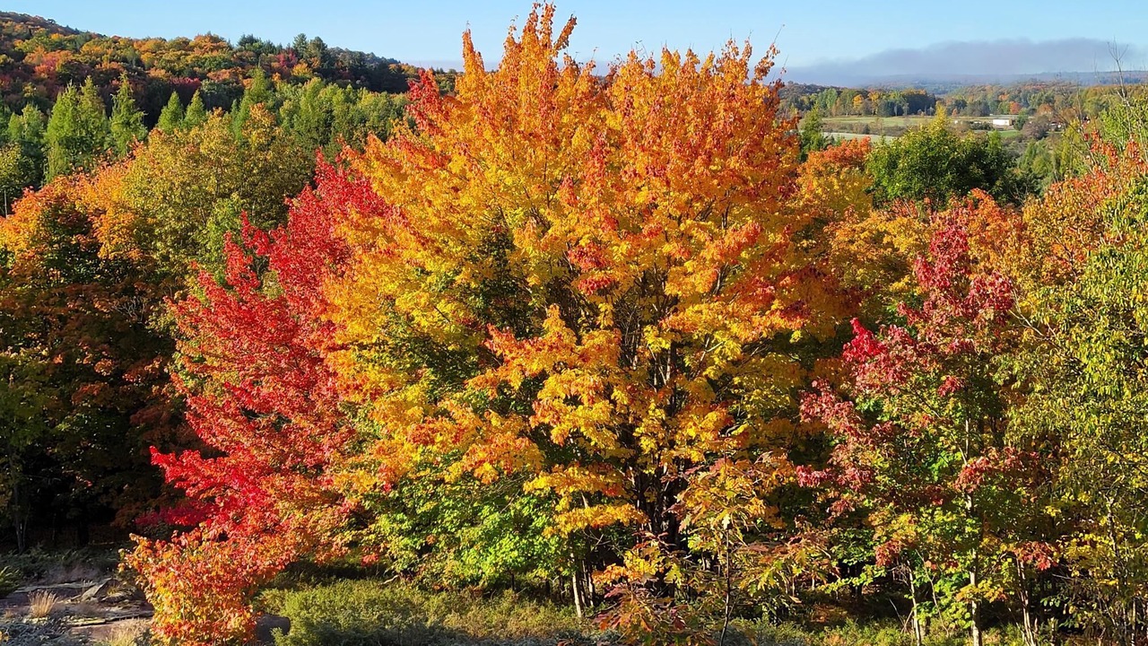 Photo of Outdoor in Utterson