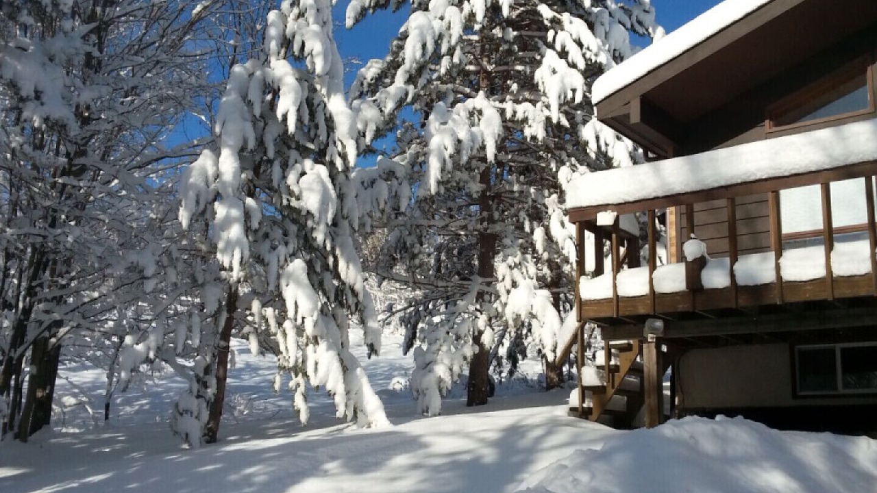 Photo of Others in Utterson