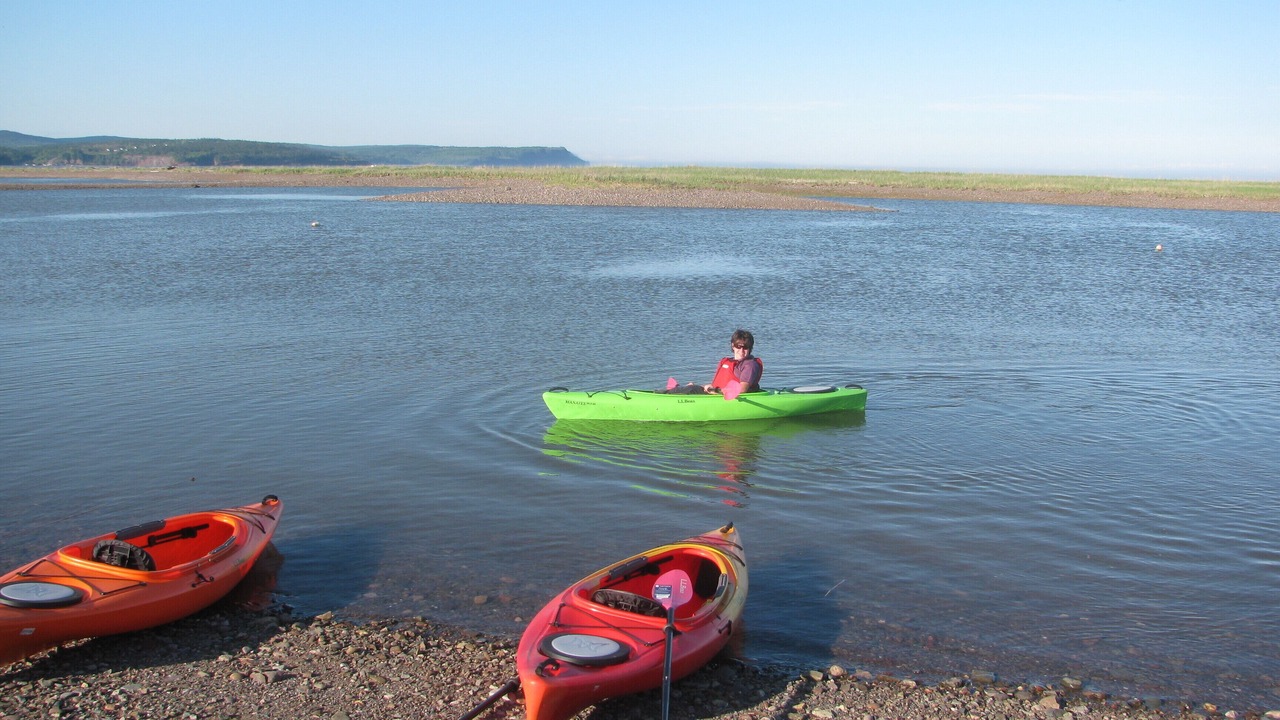 Photo of Others in West Quaco