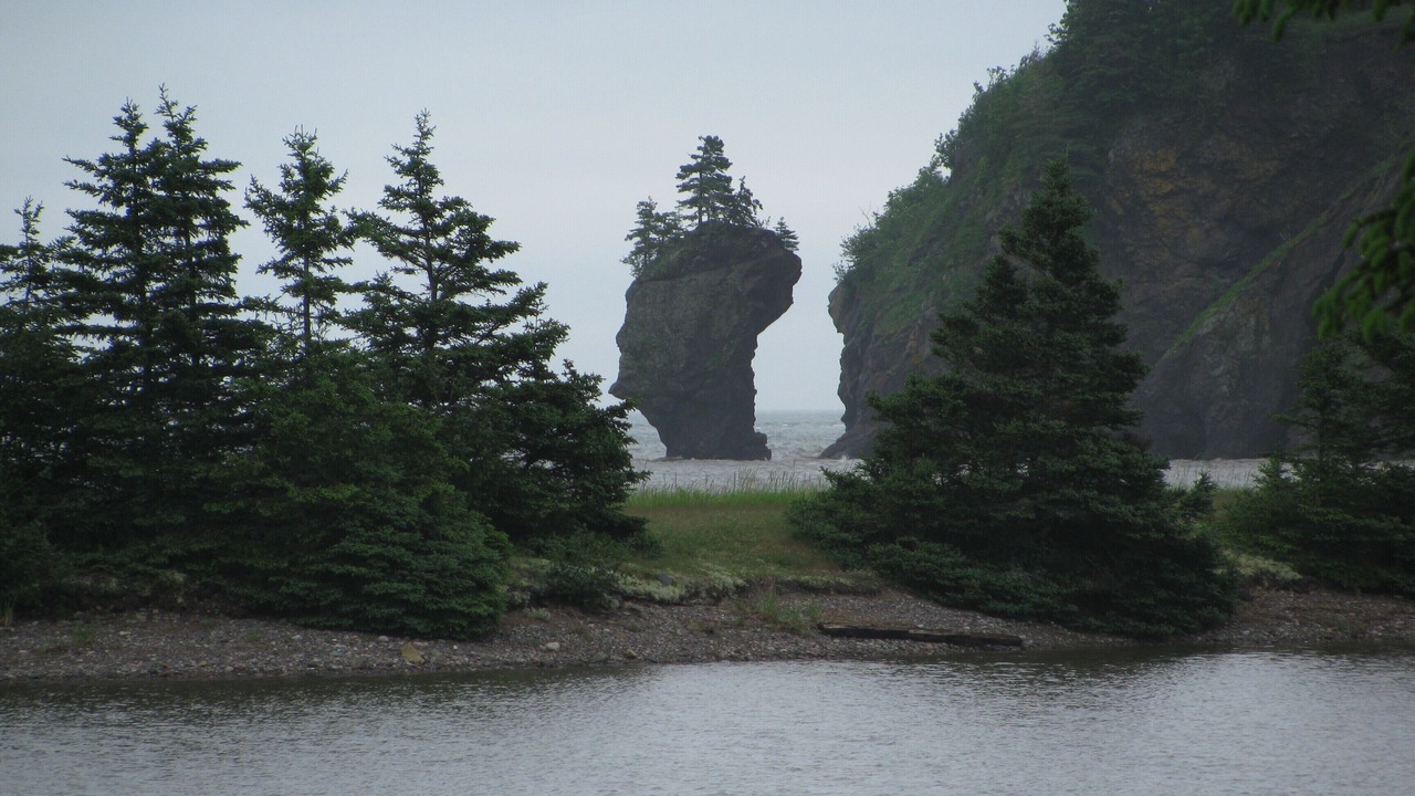 Photo of Others in West Quaco