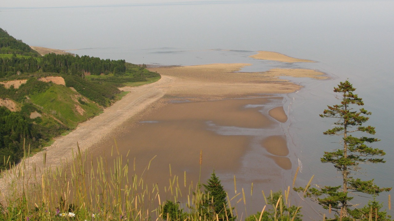 Photo of Others in West Quaco