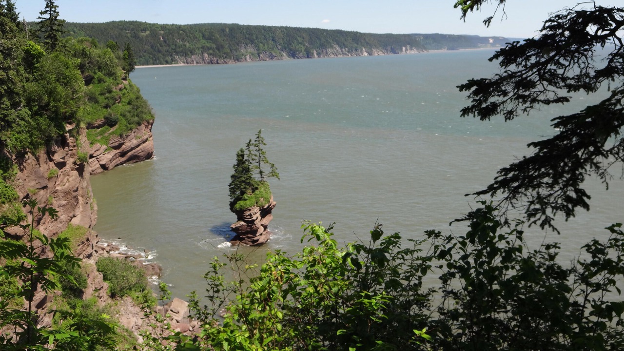 Photo of Others in West Quaco