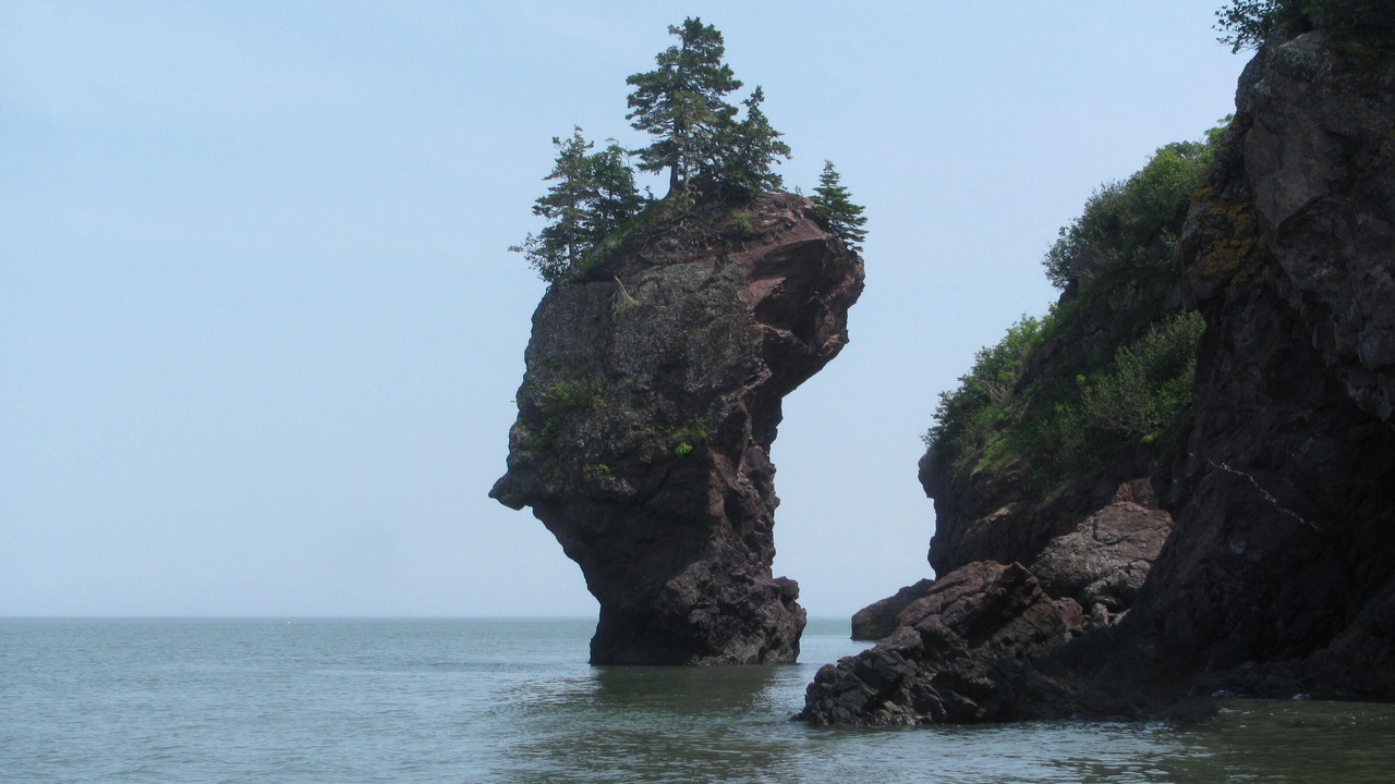 Photo of Others in West Quaco