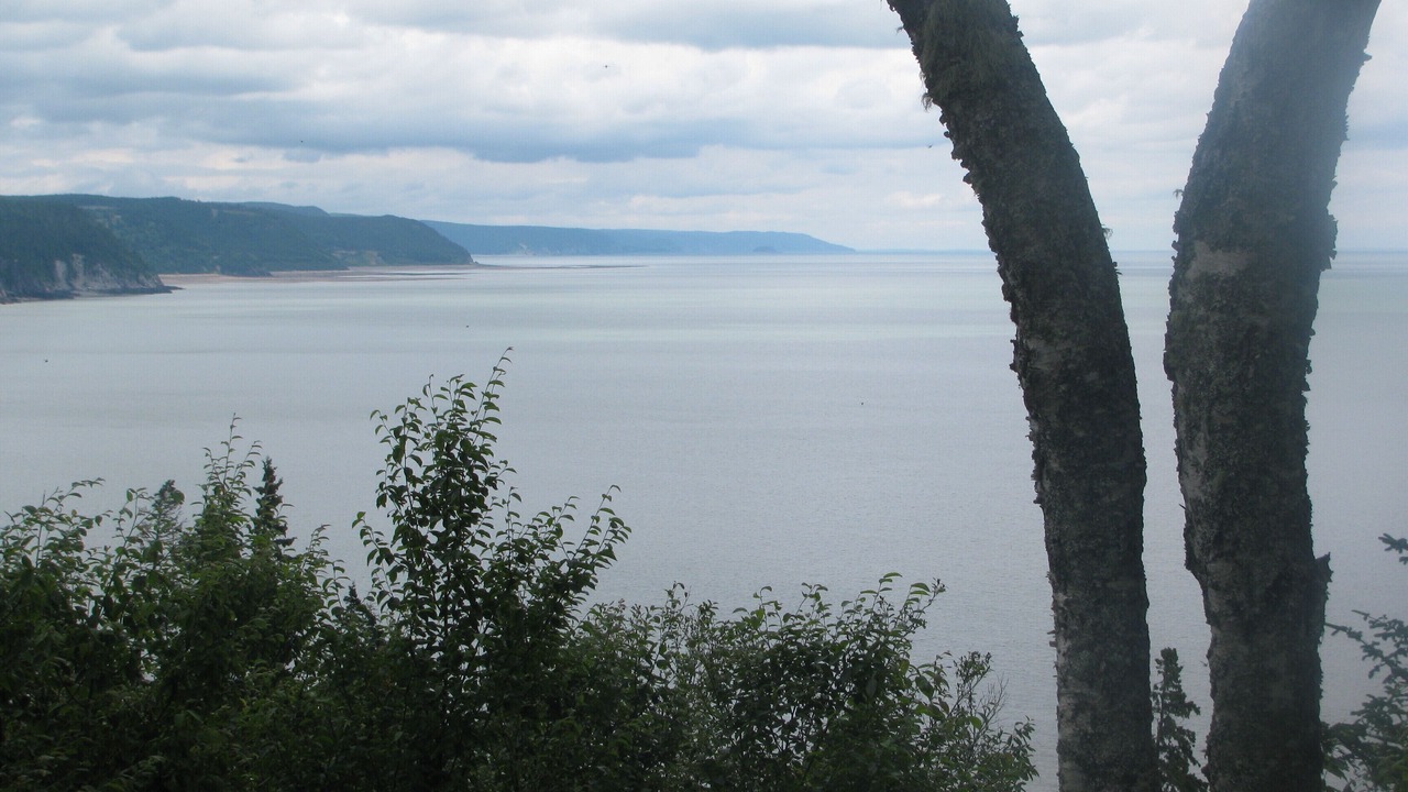 Photo of Others in West Quaco