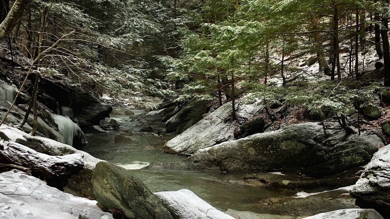 Photo of Outdoor in Sutton