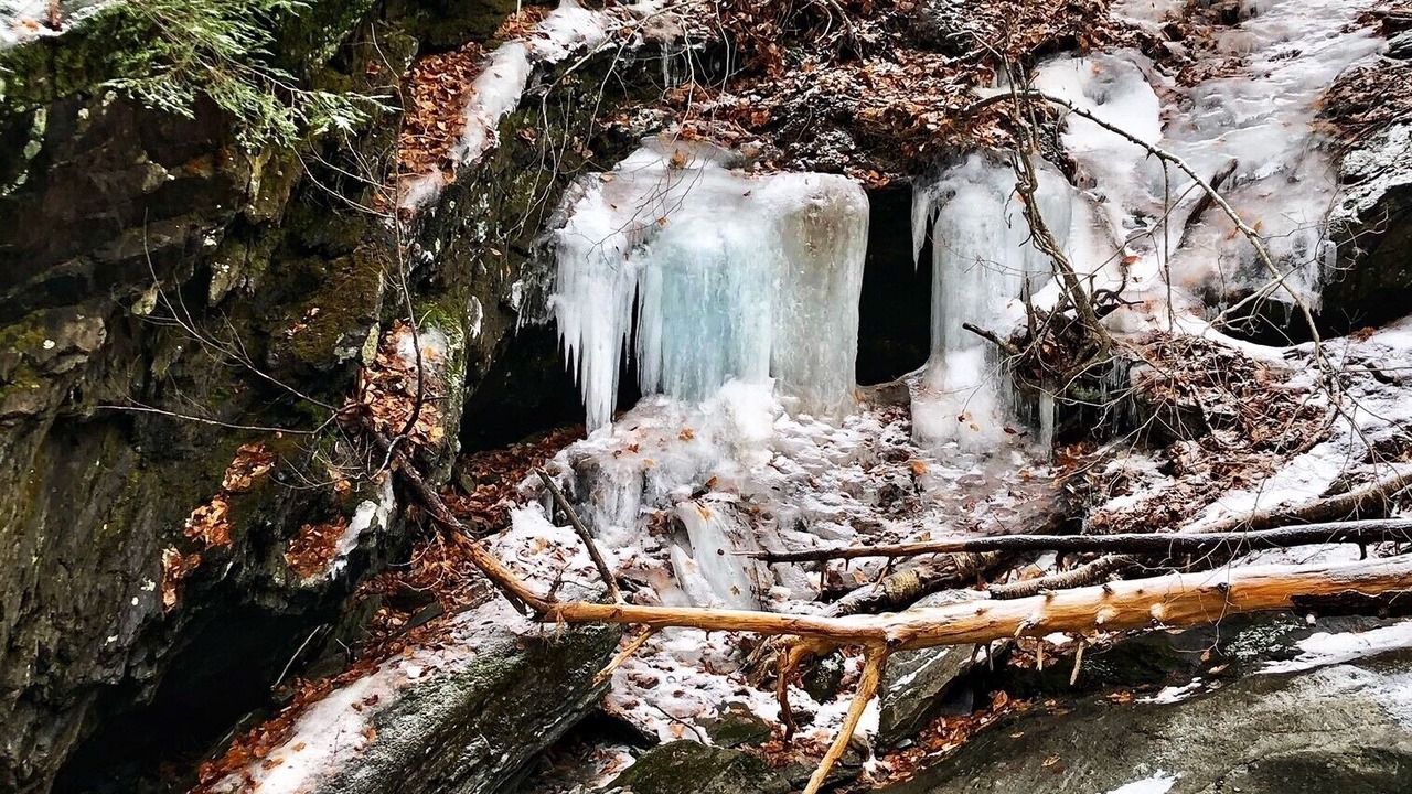 Photo of Outdoor in Sutton