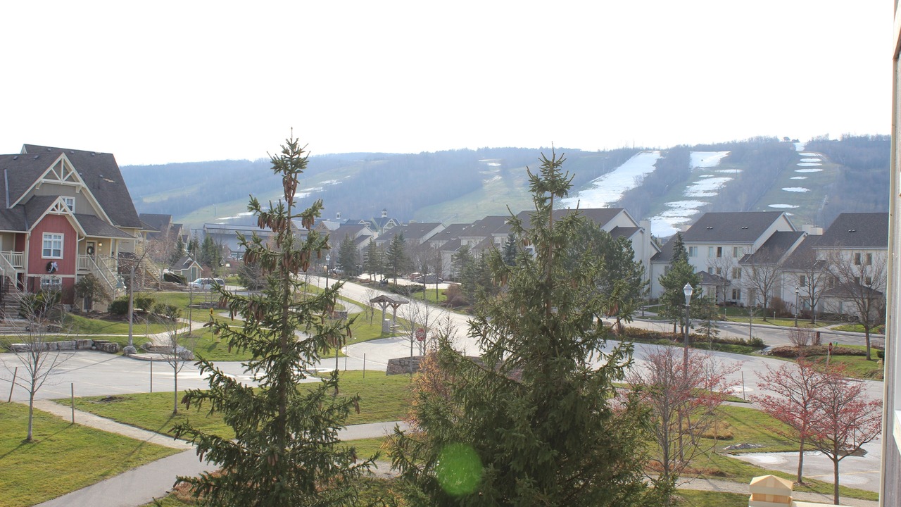 Photo of Outdoor in The Blue Mountains